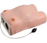 Szpital PVC Maternity Examination Ginekologic Simulator