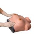 Inspekcja Palpacyjna Symulator ginekologiczny piersi do treningu