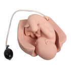 Poród medyczny Realistyczny symulator porodu Modele edukacji porodowej