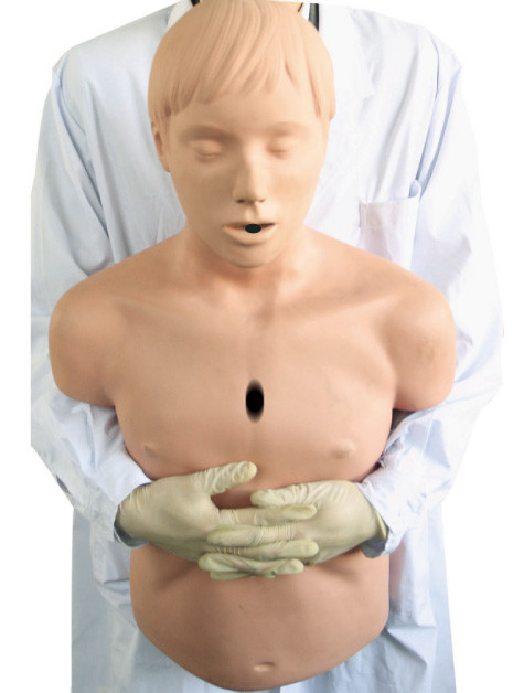 Model półmasiennego układu oddechowego / resuscytacja CPR Manikin dla Heidegger Adult First Aid