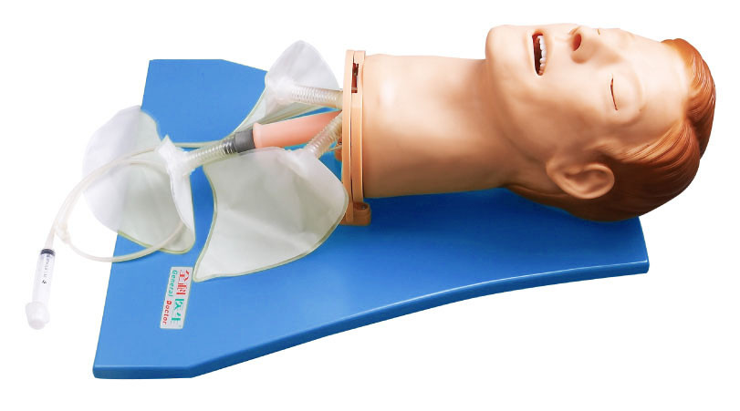 EMS Simulator / manekinów szkolących dróg oddechowych w celu obserwacji ruchów płuc w ruchu oddechowym