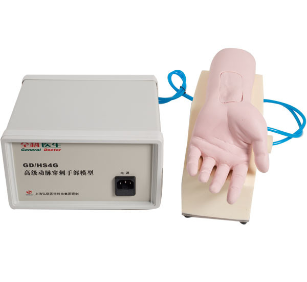 Manekin do karmienia ręcznego nakłucia tętnicy PVC do nauki medycznej