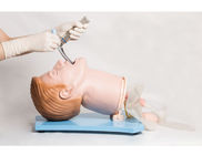 Funkcja oddechu Malowane manekiny pierwszej pomocy z PVC