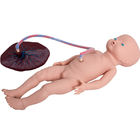 Colleges Two Fetus Childbirth Simulator Symulator porodu dziecka