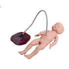 Treningowy symulator narodzin dziecka SGS PVC z pępowiną