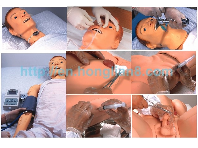 Advanced Adult Full-body Male Nursing and CPR Model with Carotid Artery Pulse