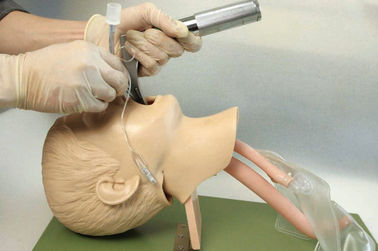 Realistyczna struktura anatomiczna z ustami dziecięcymi, gardła, tracheafor do treningu intubacyjnego