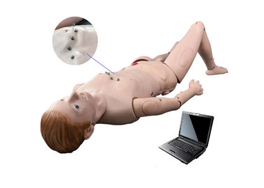 Symulacja szpitalna / Auscultation Manikin z symulowanym systemem nauczania EKG